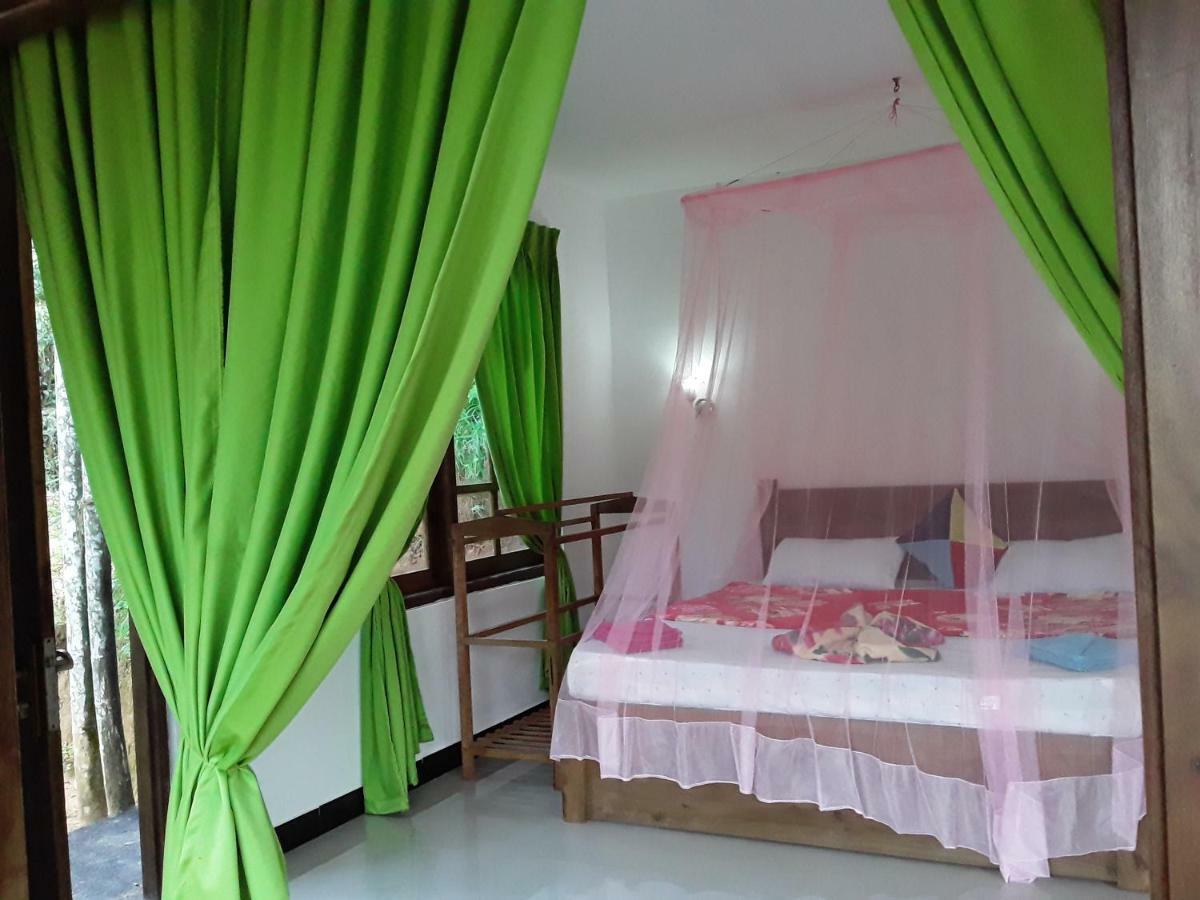 Nine Arch Araliya Homestay Ella Kültér fotó
